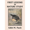 First Lessons in Nature Study (Yesterday's Classics) - Paperback