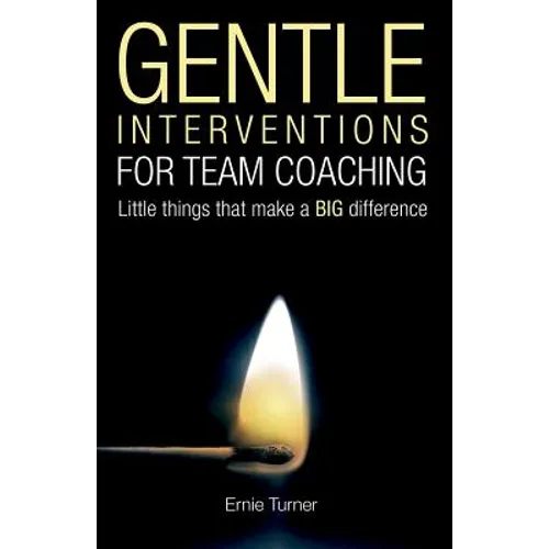Gentle Interventions for Team Coaching: Little things that make a BIG difference - Paperback