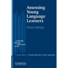 Assessing Young Language Learners - Paperback