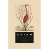 Avian Illuminations: A Cultural History of Birds - Hardcover