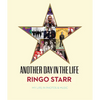 Another Day in the Life - Hardcover