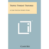 Triple Threat Trouble: A Chip Hilton Sports Story - Paperback
