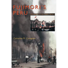 Fujimori's Peru: Deception in the Public Sphere - Paperback