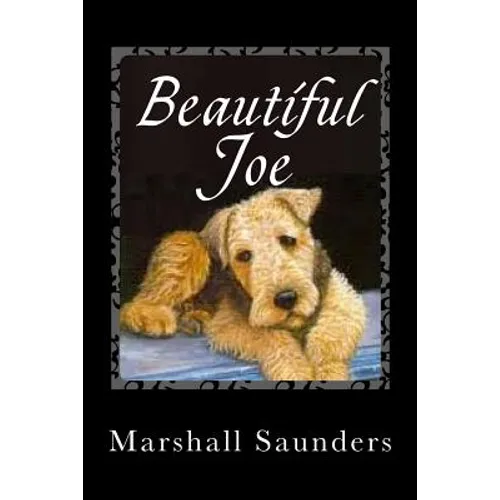 Beautiful Joe - Paperback