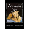 Beautiful Joe - Paperback