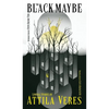 The Black Maybe: Liminal Tales - Hardcover