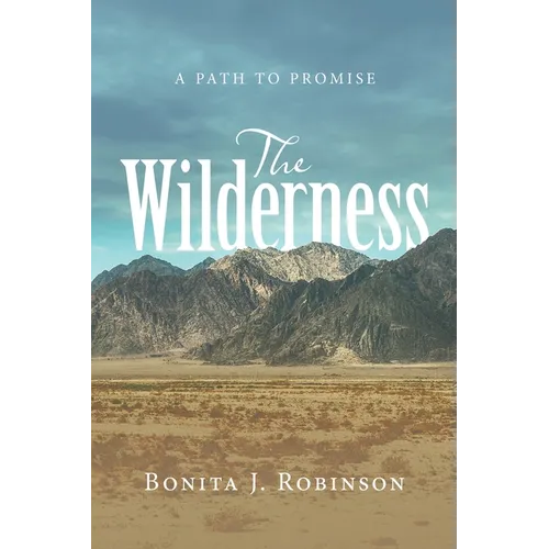 The Wilderness: A Path to Promise - Paperback