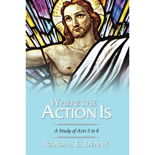 Where the Action Is - Paperback