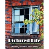 Pictured Life: And True Stories from Northern and Upper Michigan - Paperback