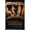 Looking at Antigone - Paperback