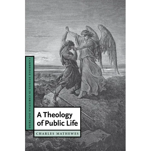 A Theology of Public Life - Paperback