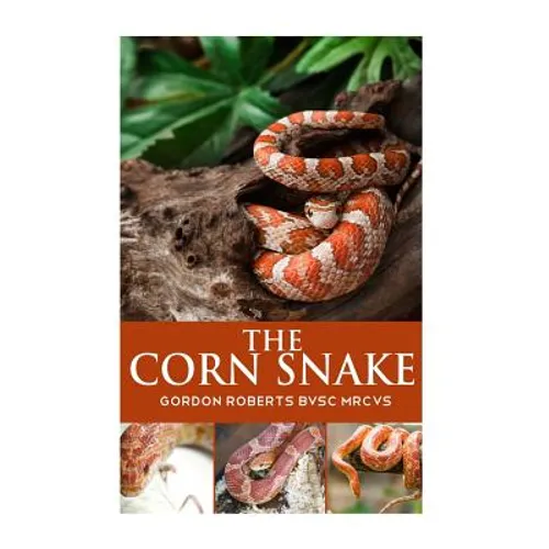 The Corn Snake - Paperback