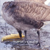 Jamaica Bay Pamphlet Library 05: Fruit on the Beach - Paperback