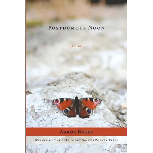 Posthumous Noon - Paperback