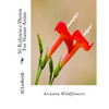 Arizona Wildflowers: 50 Reference Photos For Nature Artists - Paperback