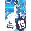Is It Wrong to Try to Pick Up Girls in a Dungeon?, Vol. 19 (Light Novel) - Paperback