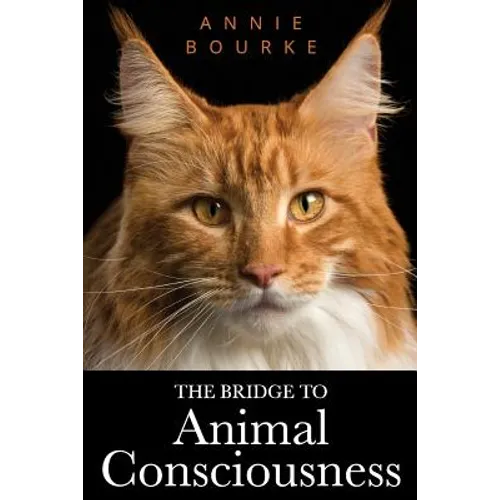 The Bridge To Animal Consciousness - Paperback