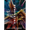 Unleashed: How to Turn Your Message Into Impact! - Paperback