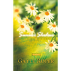 Summer Shadows - Paperback