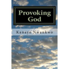 Provoking God: Understanding the mind of God - Paperback