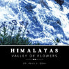 Himalayas: Valley of Flowers - Paperback