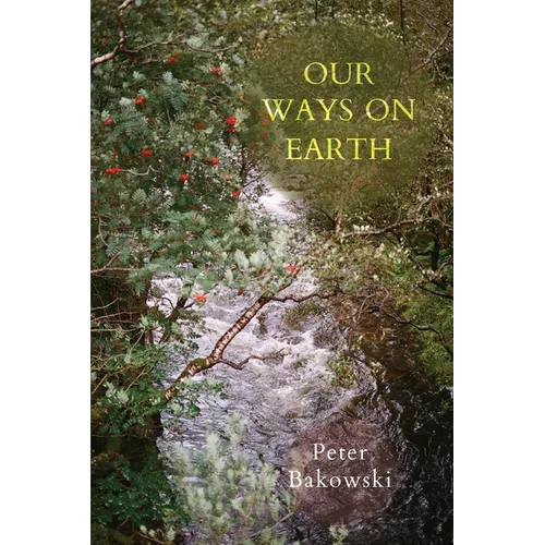 Our Ways on Earth - Paperback