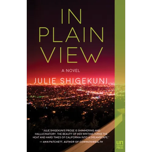 In Plain View - Paperback