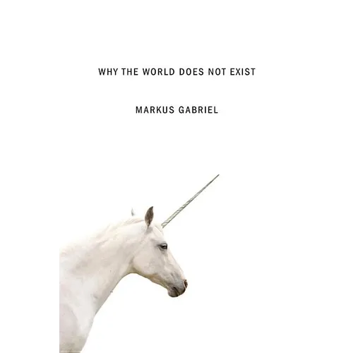 Why the World Does Not Exist - Hardcover