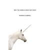 Why the World Does Not Exist - Hardcover