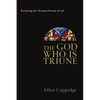 The God Who Is Triune: Revisioning the Christian Doctrine of God - Paperback