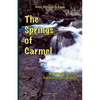 The Springs of Carmel: An Introduction to Carmelite Spirituality - Paperback