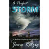 A Perfect Storm: A Lesbian Mystery Romance - Paperback