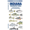 Indiana Freshwater Fishes: A Folding Pocket Guide to Native and Introduced Species - Paperback