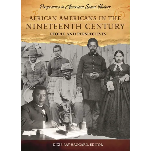 African Americans in the Nineteenth Century: People and Perspectives - Hardcover