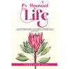 My Unusual Life - Paperback