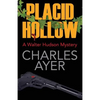 Placid Hollow: A Walter Hudson Mystery - Paperback
