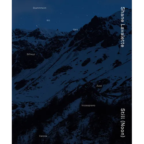 Shane Lavalette: Still (Noon) - Hardcover