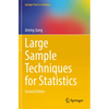 Large Sample Techniques for Statistics - Paperback
