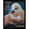 Animals of God's Creation - Paperback