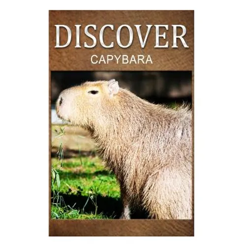 Capybara - Discover: Early reader's wildlife photography book - Paperback