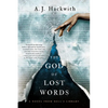 The God of Lost Words - Paperback