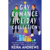 Gay Romance Holiday Collection - Paperback