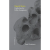 Figured Stones: Exploring the Lithic Imaginary - Paperback