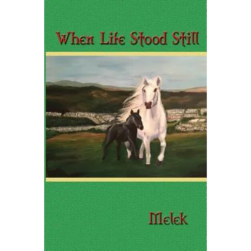 When Life Stood Still - Paperback