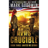 United We Stand: A Post-Apocalyptic Novel of the Coming Civil War in America - Paperback