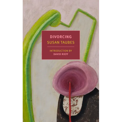 Divorcing - Paperback