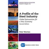 A Profile of the Steel Industry: Global Reinvention for a New Economy, Second Edition - Paperback