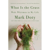 What Is the Grass: Walt Whitman in My Life - Paperback