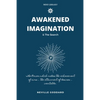 Awakened Imagination & The Search: imagination Creates Reality - Paperback