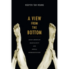 A View from the Bottom: Asian American Masculinity and Sexual Representation - Hardcover